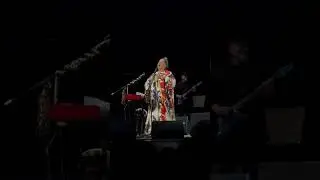 Нино Катамадзе Olei. Live.