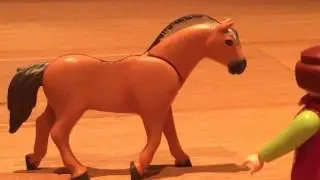 Wilde Paarden//De Val!#1