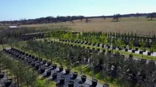 Hope Valley Tree Farm - Winter 2017
