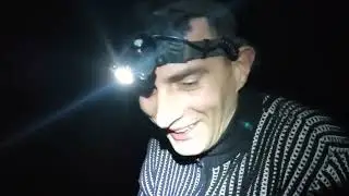соми і судачата в ніч на КВХ