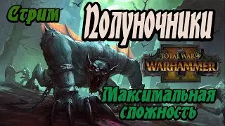 Вампиры не уйдут! Total War Warhammer 2 | Легенда |