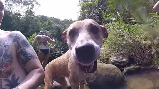 Exploring Taiwan's Waterfalls