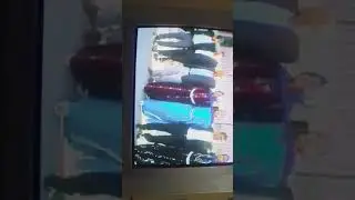 Arap düğün