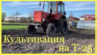 Культивация на Т-25 2021