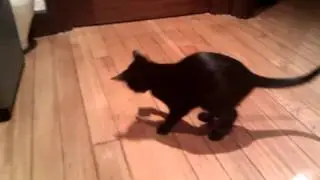 la otra printxesa  ;)