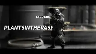 CSGO Edit // plantsinthevase