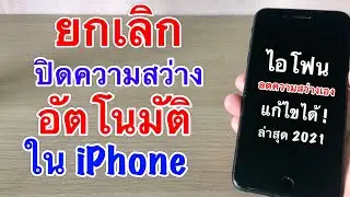 วิธีแก้ปัญหาไอโฟนปรับแสงเอง และ แก้ไขปัญหาจอเหลืองในiPhone