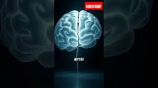 Amazing facts about brain #braintest #brain #facts #amazingfacts