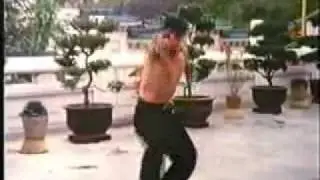 TIGRE GRULLA  MAESTRO CHIU CHI LING