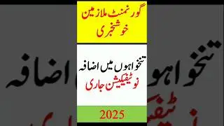 Govt Employees Pay and Pension Increase Notification 2025