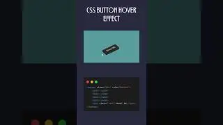 CSS Button Hover Effect | HTML CSS 