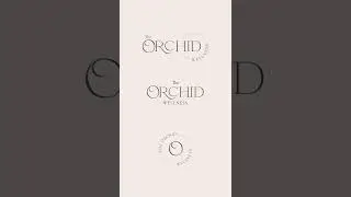 Branding for Skin Care Brand. Pre-made branding available in my etsy shop.