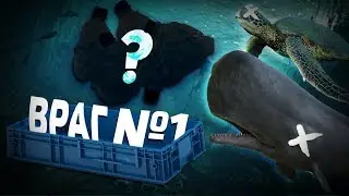 Что убивает морских существ?