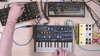 Moog Subharmonicon in a Jam :: part 2 :: [Synth Recipe #72]