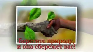 Будь человеком, человек!