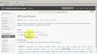 Easy Websites with Wordpress - Setting up The All In One SEO Plugin