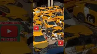 Yandex Taxi Dump