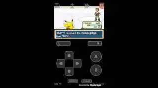 Mengalahkan brock dengan pikachu