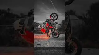 WH33LI3 SCRAPE