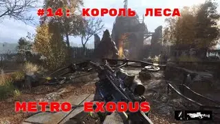 Metro Exodus ➤ Прохождение ➤ Часть #14: Король леса