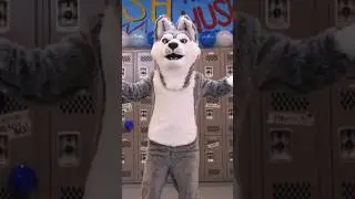 MASCOT DANCE BATTLE!