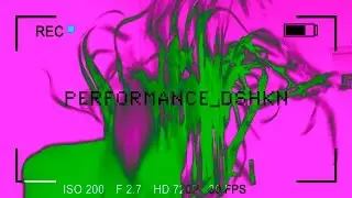 DSHKN PERFORMANCE
