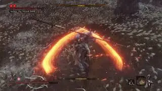 Sekiro - Final Boss (Hard)