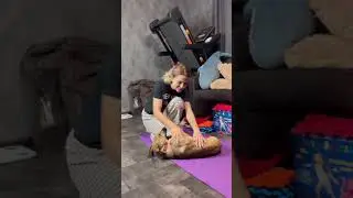 Жужа - собака инвалид на двух лапах