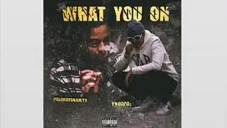 2xTheVybe Ft. Polo Boy Shawty - What You On (prod. by level) (Official Audio)