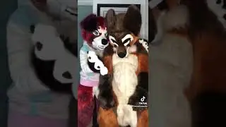 Furry Dance Time 