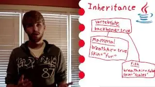 Basic Java #11 