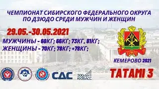 Чемпионат СФО среди мужчин и женщин, Кемерово  ТАТАМИ 3