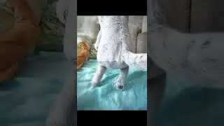 АХАХАХ но мне это нравится🥰