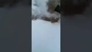 ВЕТРОДУЙКА HEIMERDINGER #shorts