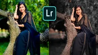 dark and brown effect Lightroom photo editing // aadi editz