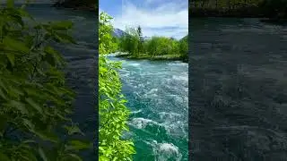 #naturevideo   #shorts #shortsvideo  #statusvideo #statusvideo #trending #naturevideo #relaxingmusic