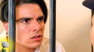 La Rosa de Guadalupe - 
