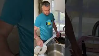 Жиза