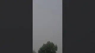 damn Canadians Blazing