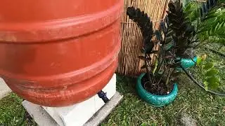 $20 Rain Barrel Makeover