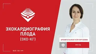 Эхокардиография (ЭХО-КГ) плода