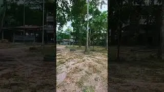 Uma Floresta urbana