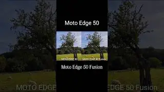 Camera Comparison #motorolaedge50 #motorolaedge50fusion