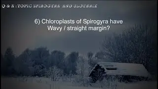 Objective Questions - SPIROGYRA  | Asked in various exams | Objective biology