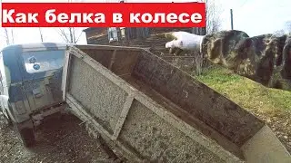 Кручусь как белка. Пришли заказы, посылки. Мукулатура, металлолом, ремонт.