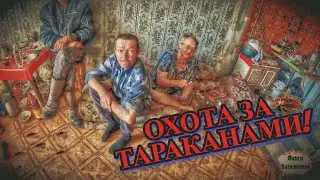 ОХОТА ЗА ТАРАКАНАМИ / 2 серия (18+)