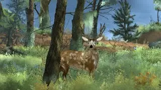 The forest awakens animation (AE,PS,Blender,Maya)