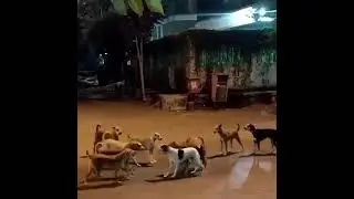 Goooo