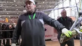 Станки для фиксации КРС 