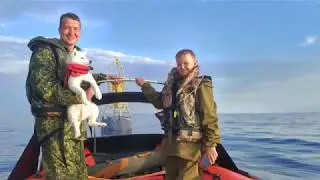 Переход Бурная - Лигово через Ладожское озеро